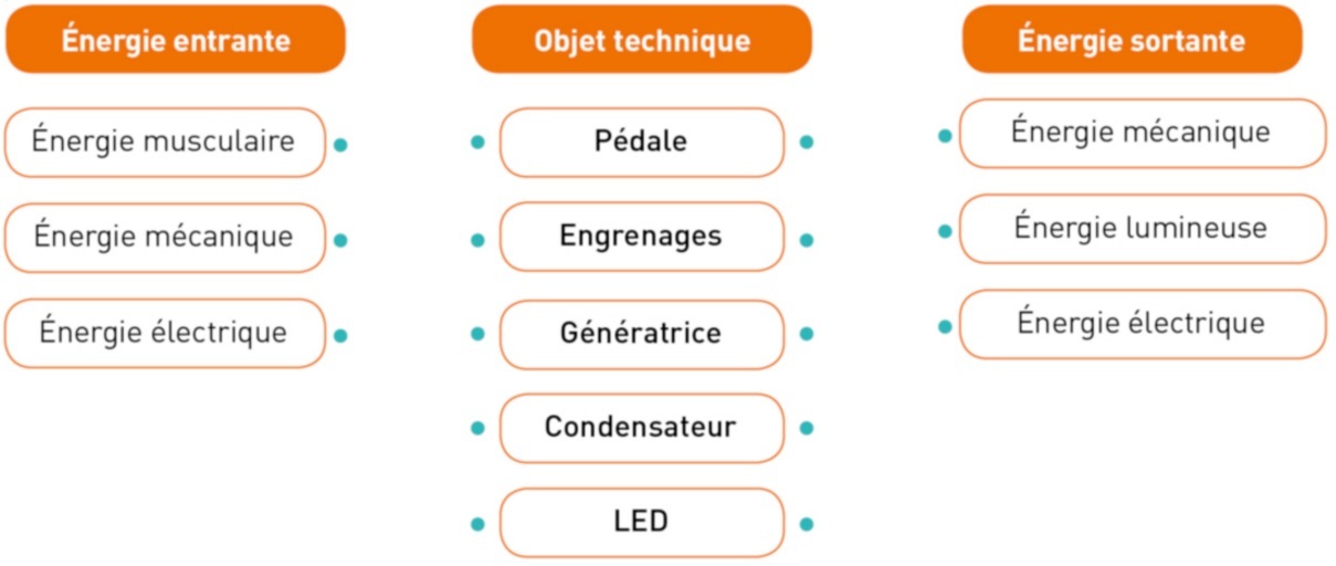 Activité 1 : Je Construis Mon Savoir Et Mes Compétences